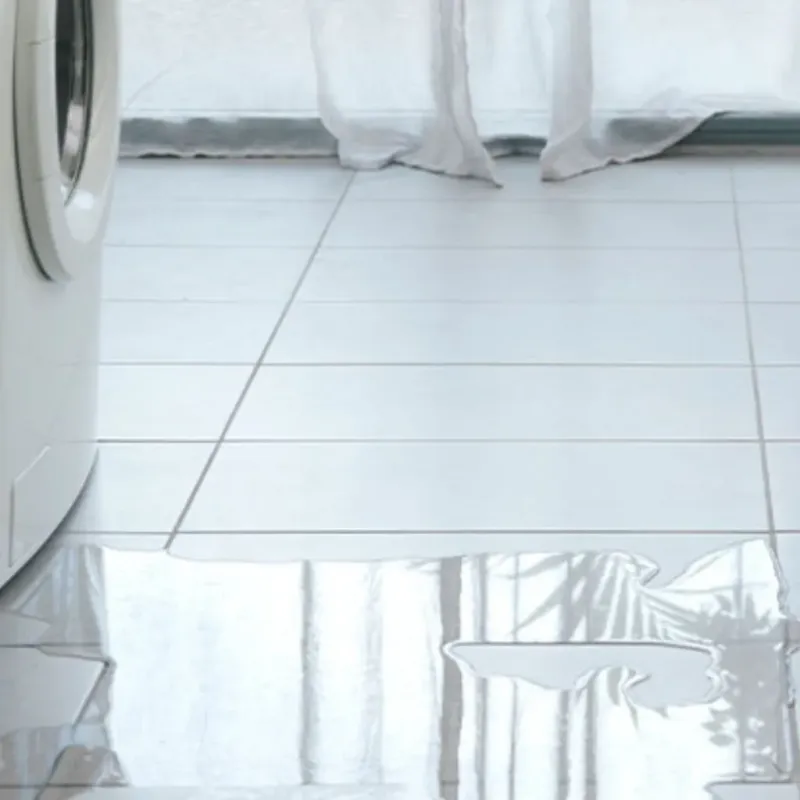 Appliance Leak Cleanup in Okawville, IL