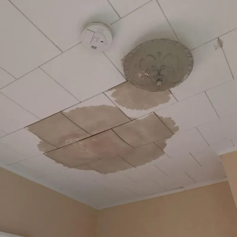 Ceiling Water Damage Repair in Okawville, IL