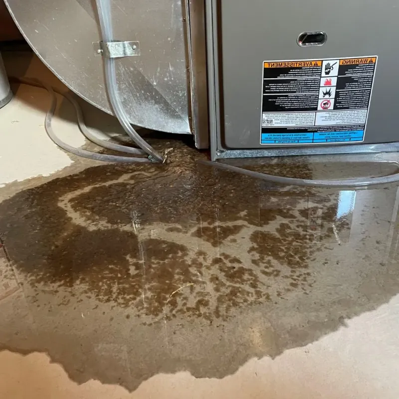 Pipe Burst and Leak Restoration in Okawville, IL