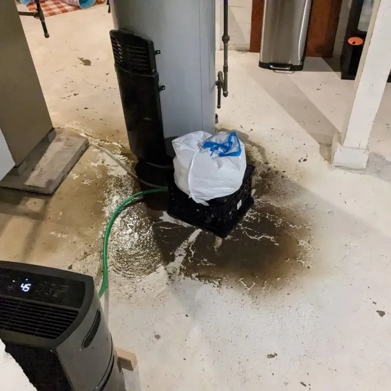 Sewage Backup Cleanup Service in Okawville, IL
